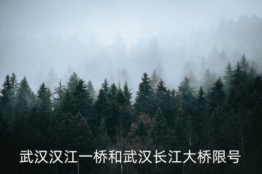 武漢漢江一橋和武漢長江大橋限號