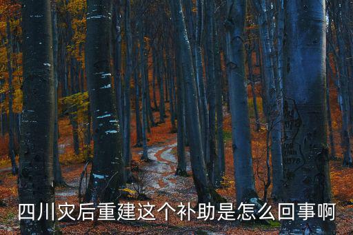 四川災后重建這個補助是怎么回事啊