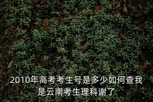 高考報名號查詢，2010年高考考生號是多少如何查我是云南考生理科謝了