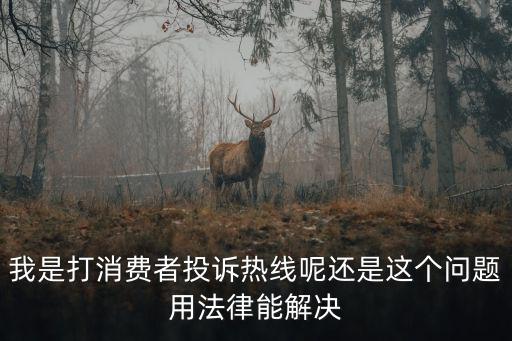 消費者投訴，每年的幾月幾日是消費者權益日消費者協會的投訴電話是多少