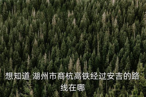 湖杭高鐵，宣杭鐵路未來(lái)的發(fā)展趨勢(shì)到底是什么是永遠(yuǎn)普速列車還是通高鐵動(dòng)車