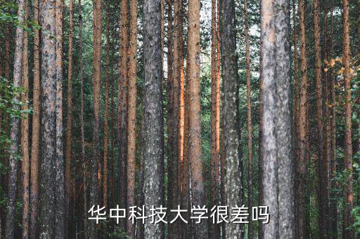 華中科技大學(xué)很差嗎