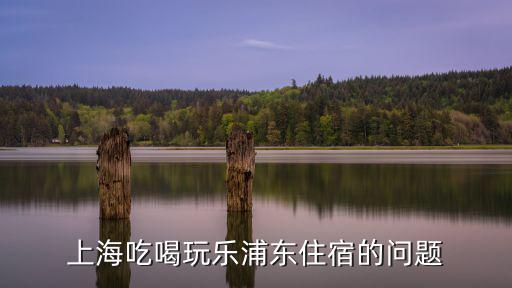 上海吃喝玩樂浦東住宿的問題