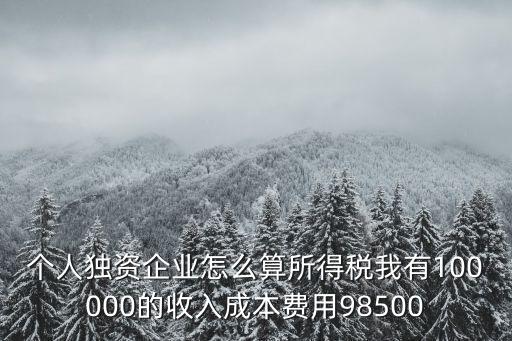 個人獨資企業稅率，個人獨資企業的個人所得稅適用稅率是多少具體怎么算是一定要按