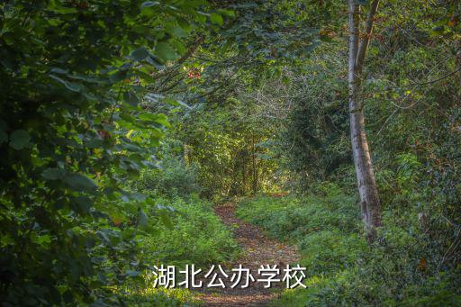 湖北公辦學校