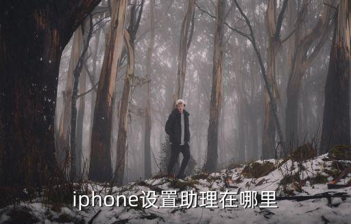 iphone設(shè)置助理在哪里