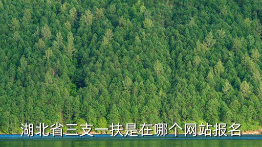 湖北省三支一扶是在哪個網(wǎng)站報名