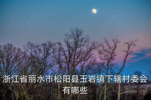浙江省麗水市松陽縣玉巖鎮(zhèn)下轄村委會(huì)有哪些