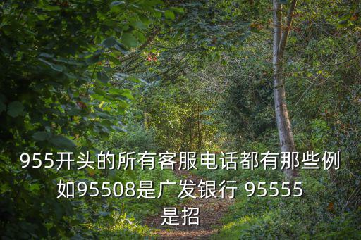 955開頭的所有客服電話都有那些例如95508是廣發銀行 95555是招