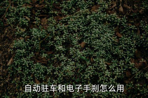 電子手剎怎么用，一下電子手剎和自動駐車的知識了到底應(yīng)該怎么用