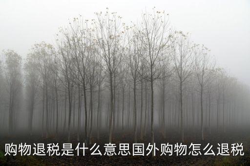 購物退稅是什么意思國外購物怎么退稅