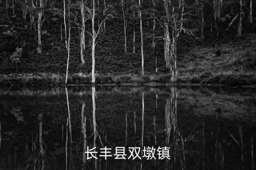 長豐縣雙墩鎮