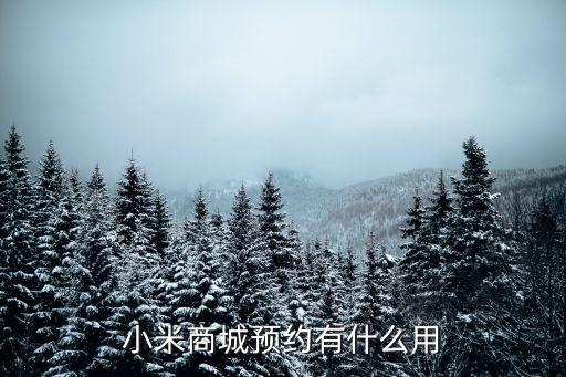 小米商城預約有什么用