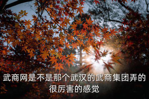 武網(wǎng)，最近常看到武商網(wǎng)在弄特價團購什么的武商網(wǎng)是干嘛的怎么之前都