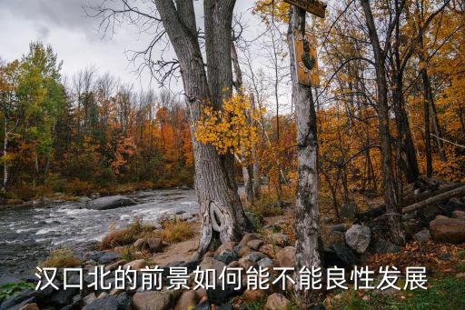 漢口北的前景如何能不能良性發(fā)展