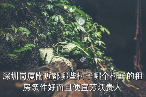 深圳崗廈附近都哪些村子哪個村子的租房條件好而且便宜勞煩貴人