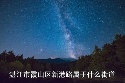 湛江市霞山區(qū)新港路屬于什么街道