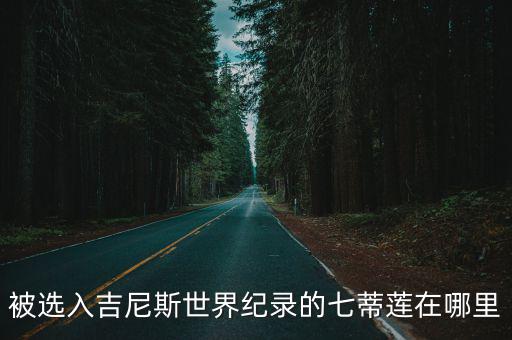 七蒂蓮，七枝蓮有幾片葉子
