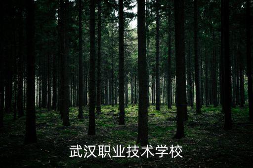 武漢職業(yè)技術(shù)學(xué)校