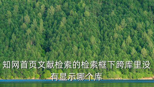 知網首頁文獻檢索的檢索框下跨庫里沒有顯示哪個庫