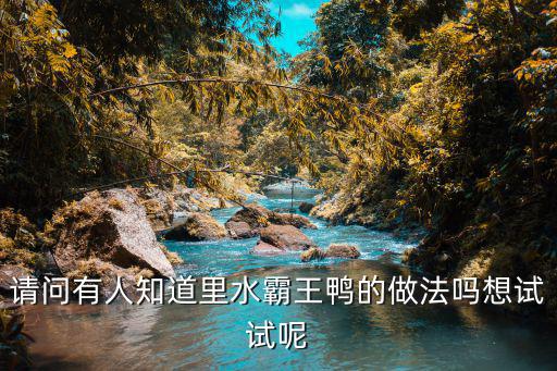 請問有人知道里水霸王鴨的做法嗎想試試呢