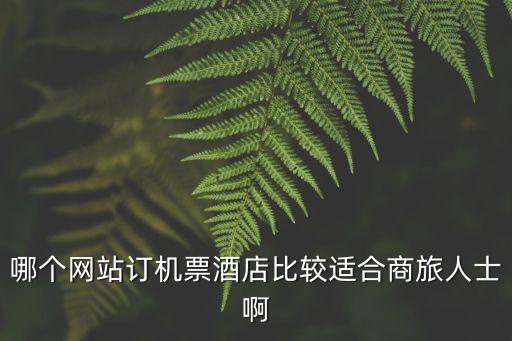 哪個(gè)網(wǎng)站訂機(jī)票酒店比較適合商旅人士啊