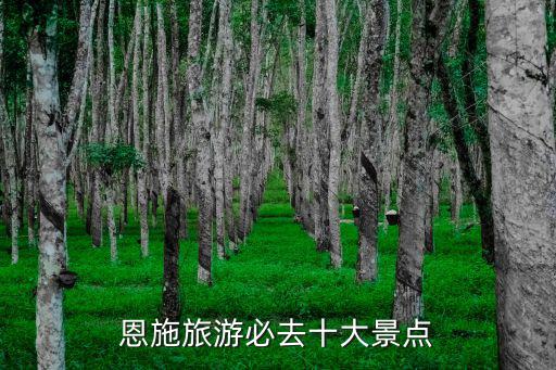 恩施旅游必去十大景點