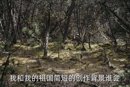 秦詠誠，我和我的祖國的原唱是誰