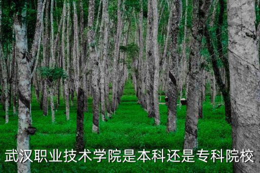 武漢職業技術學院是本科還是專科院校