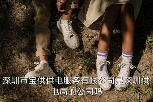 深圳市寶供供電服務(wù)有限公司是深圳供電局的公司嗎