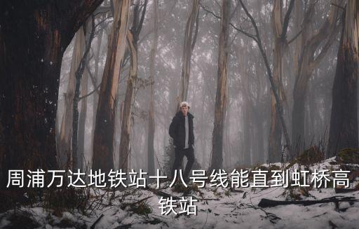 周浦萬(wàn)達(dá)地鐵站十八號(hào)線能直到虹橋高鐵站
