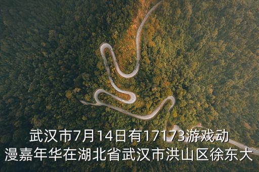 武漢市7月14日有17173游戲動(dòng)漫嘉年華在湖北省武漢市洪山區(qū)徐東大
