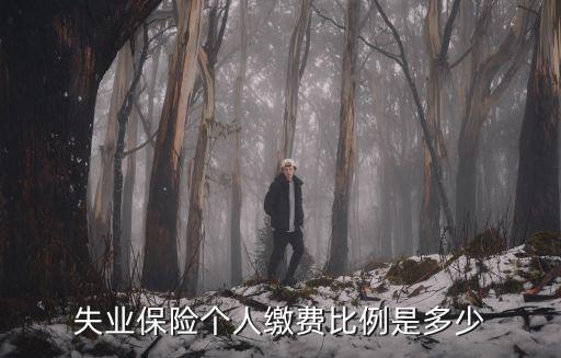 失業保險個人繳費比例是多少