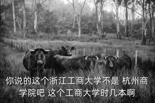 你說的這個浙江工商大學(xué)不是 杭州商學(xué)院吧 這個工商大學(xué)時幾本啊