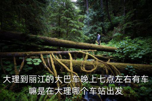 大理到麗江的大巴車晚上七點左右有車嘛是在大理哪個車站出發