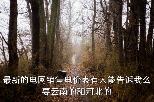 銷售電價，什么是分類上網電價和終端銷售電價