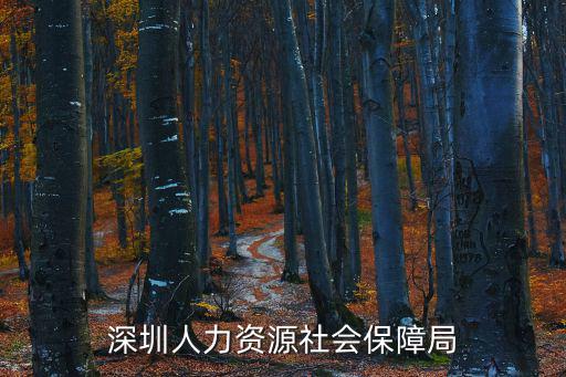 深圳人力資源社會保障局