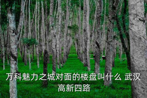 武漢萬科樓盤，萬科魅力之城對面的樓盤叫什么 武漢 高新四路