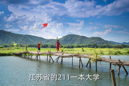 江蘇省的211一本大學