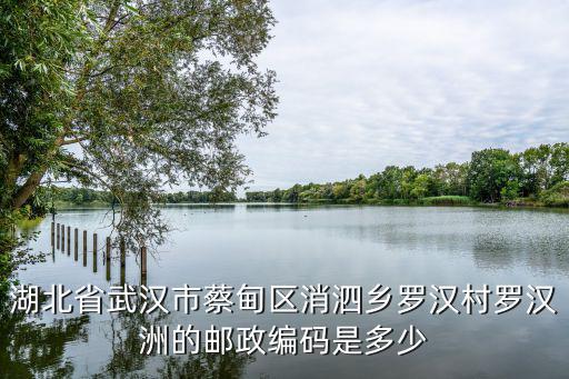 湖北省武漢市蔡甸區(qū)消泗鄉(xiāng)羅漢村羅漢洲的郵政編碼是多少