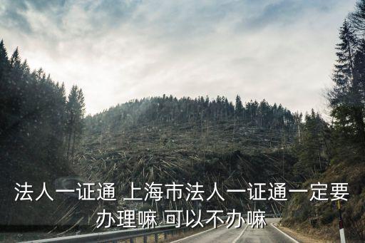 法人一證通 上海市法人一證通一定要辦理嘛 可以不辦嘛