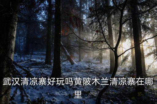 武漢清涼寨好玩嗎黃陂木蘭清涼寨在哪里