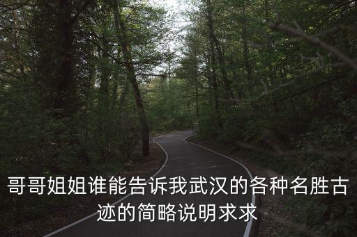 哥哥姐姐誰能告訴我武漢的各種名勝古跡的簡略說明求求