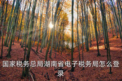 國家稅務(wù)總局湖南省電子稅務(wù)局怎么登錄