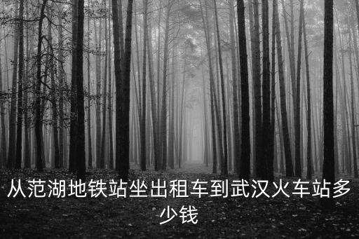 從范湖地鐵站坐出租車到武漢火車站多少錢