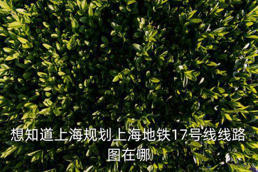 想知道上海規劃上海地鐵17號線線路圖在哪