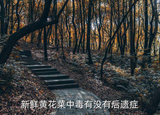 黃花菜中毒，新鮮黃花菜中毒有沒(méi)有后遺癥