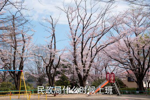 民政局什么時候上班