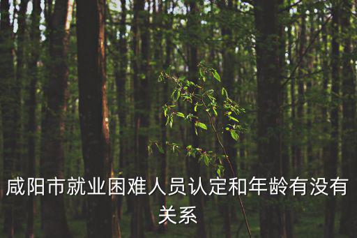 就業困難人員認定，就業困難人員具體指哪些人