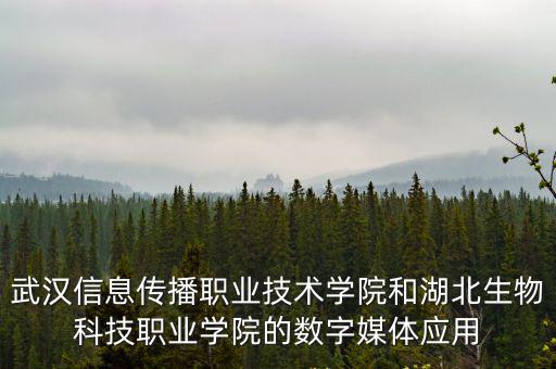 武漢信息傳播職業(yè)技術(shù)學(xué)院官網(wǎng)，急誰知道淮安信息職業(yè)技術(shù)學(xué)院的專業(yè)代碼